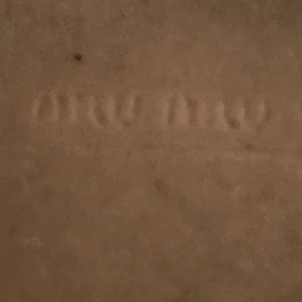 MIU MIU Swarovski crystals‎ platform shoes